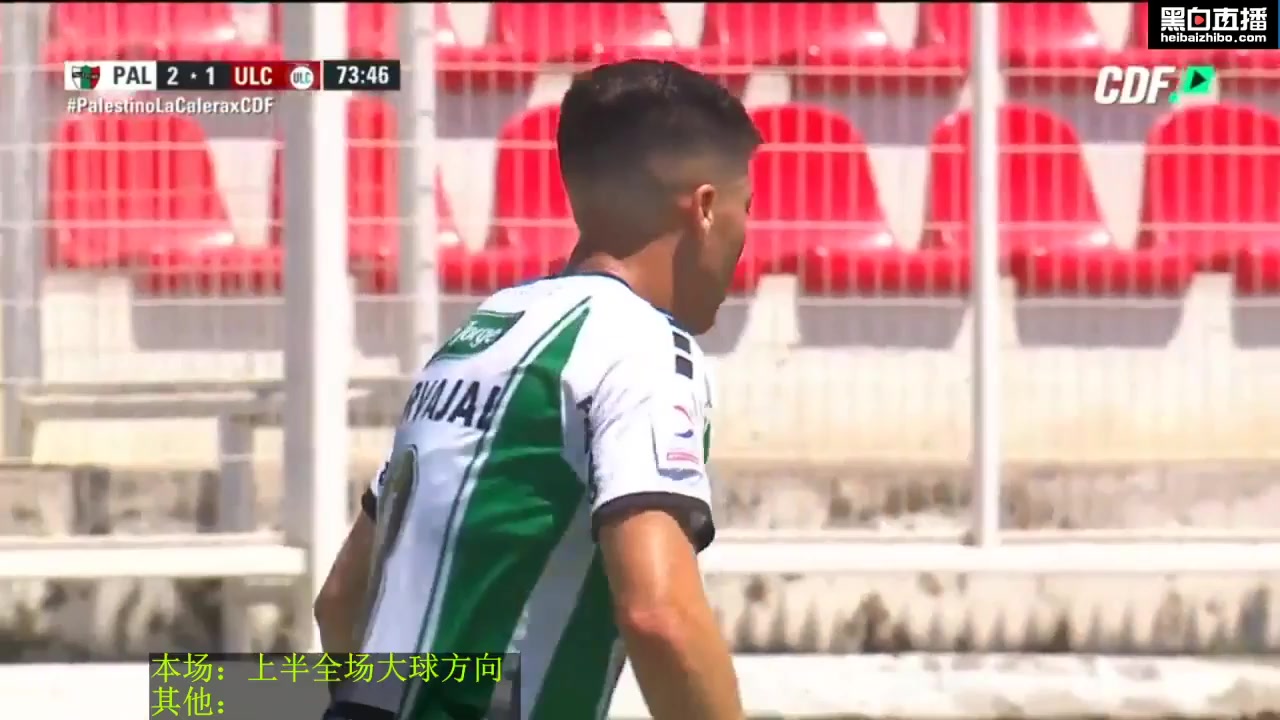 CHI D1 Palestino Vs Union La Calera Diego Calderon Goal in 75 min, Score 3:1