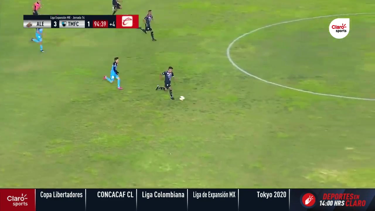 847 Alebrijes de Oaxaca Vs Tampico Madero 96 skor gol , skor 4:1