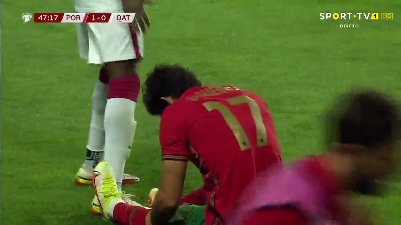 INT FRL Portugal Vs Qatar Jose Miguel da Rocha Fonte Goal in 48 min, Score 2:0