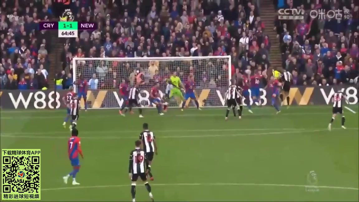 EPL Crystal Palace Vs Newcastle United Callum Wilson Goal in 64 min, Score 1:1