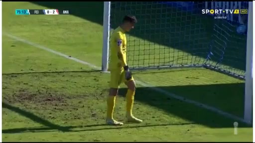 157 Feirense Vs Estrela da Amadora 75 skor gol Steven Petkov, skor 1:2