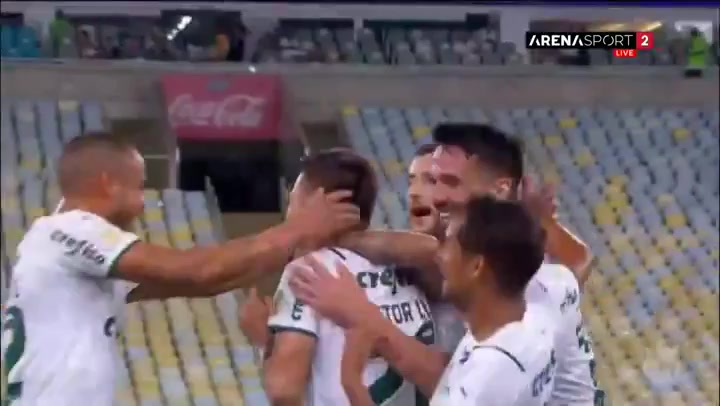 BRA D1 Fluminense RJ Vs Palmeiras 28 phút Vào, ghi bàn 0:1