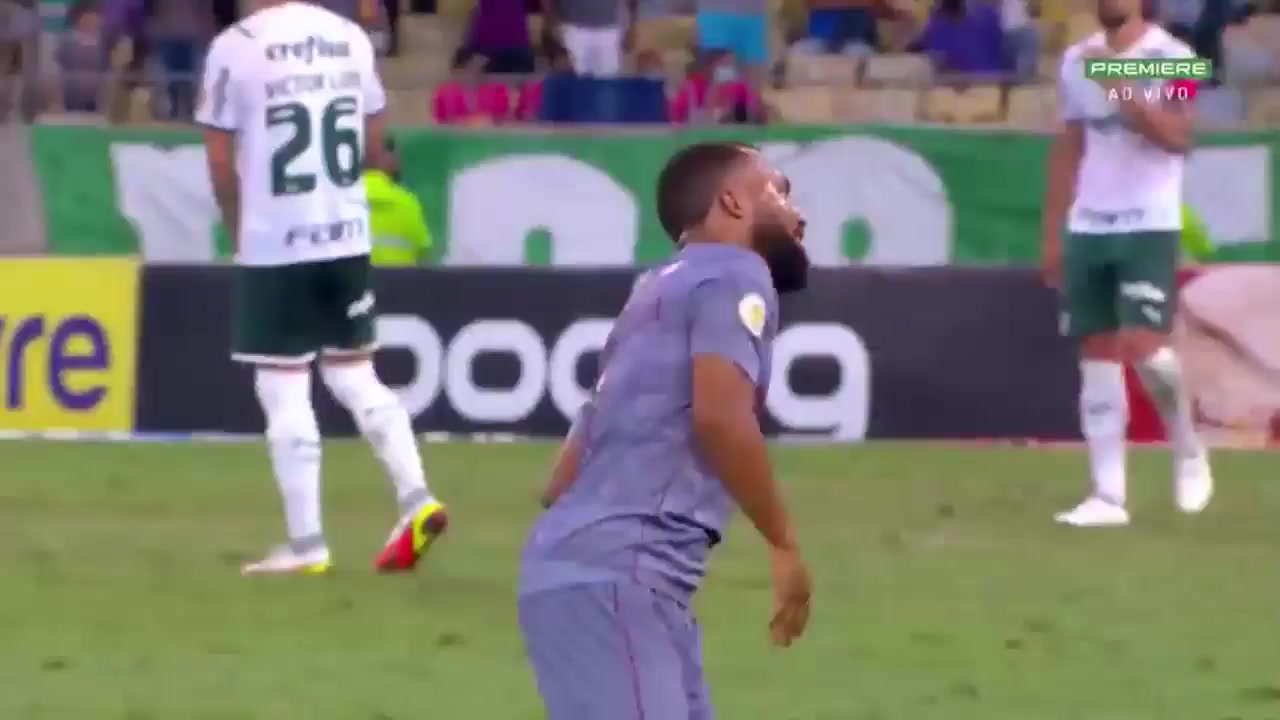 BRA D1 Fluminense RJ Vs Palmeiras 87 phút Vào, ghi bàn 2:1