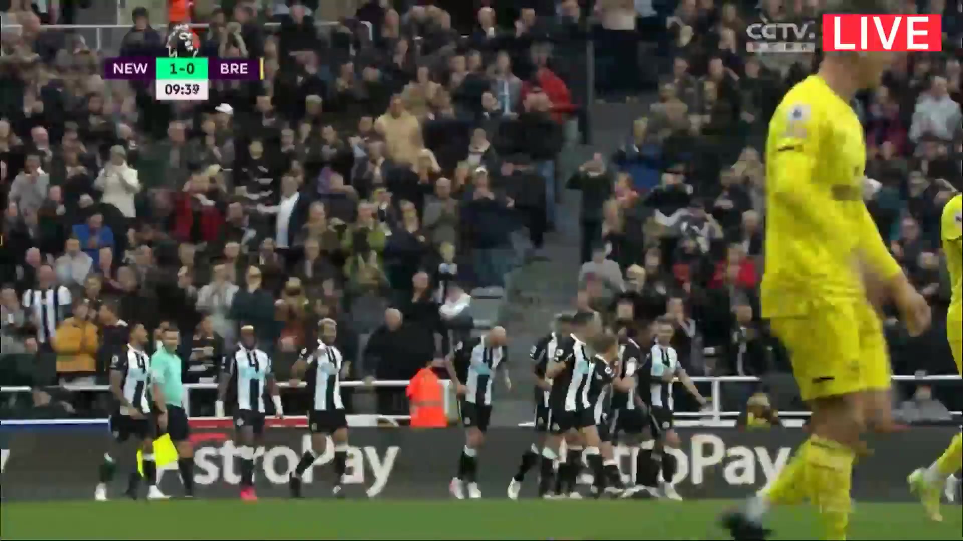 EPL Newcastle United Vs Brentford Ivan Toney Goal in 10 min, Score 1:0
