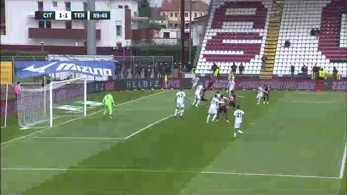 ITA D2 Cittadella Vs Ternana Alfredo Donnarumma Goal in 91 min, Score 1:1