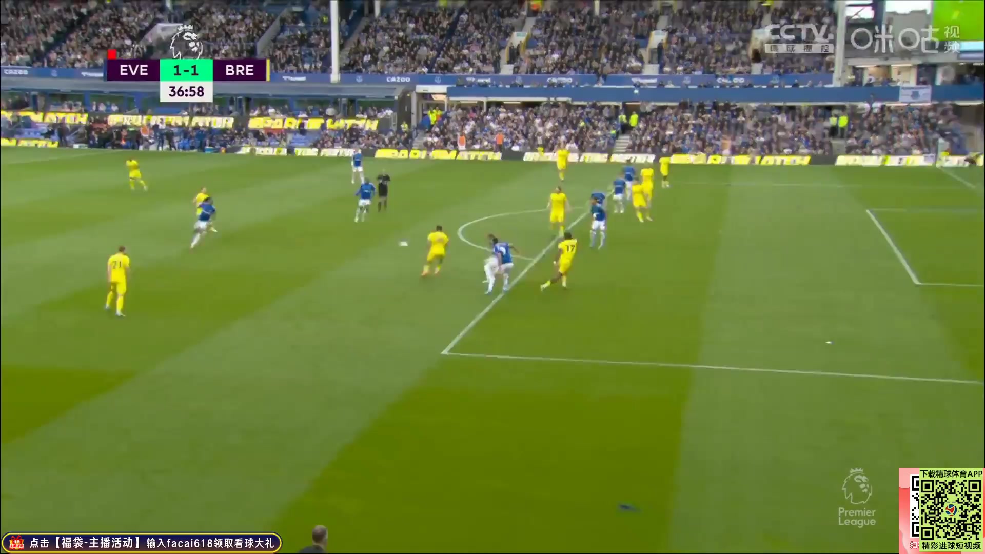EPL Everton Vs Brentford Seamus Coleman Goal in 36 min, Score 1:1