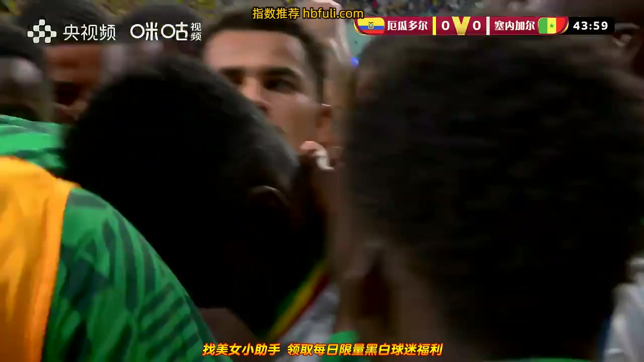 世界杯 厄瓜多爾(中) Vs 塞內加爾 43分進球,比分0:1