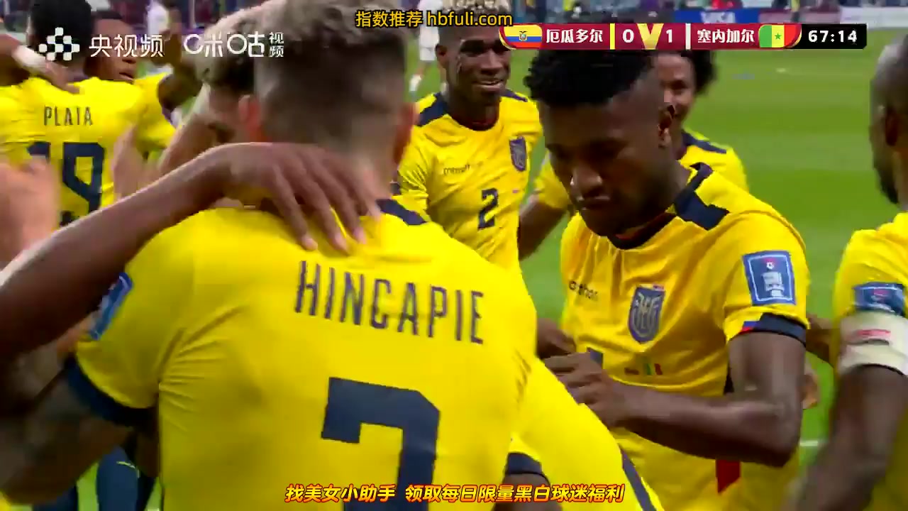 世界杯 厄瓜多爾(中) Vs 塞內加爾 68分進球,比分1:1