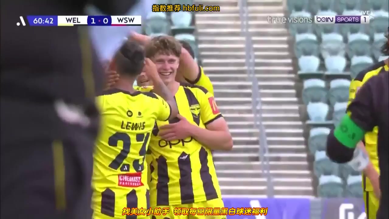 273 Wellington Phoenix Vs Western Sydney 61 skor gol , skor 1:0