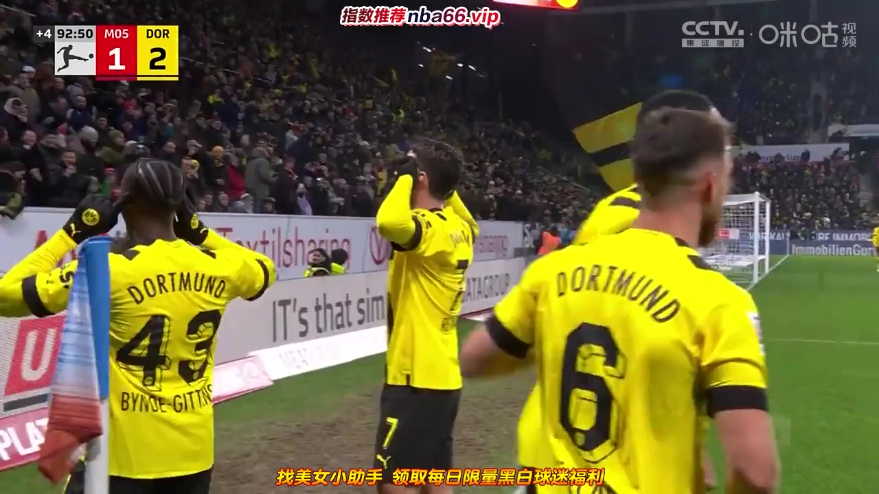 Bundesliga FSV Mainz 05 Vs Borussia Dortmund  Goal in 94 min, Score 1:2