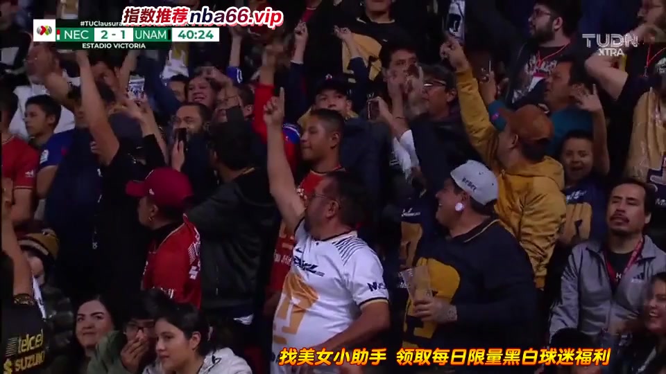 MEX D1 尼卡沙 Vs 普馬斯 Nicolas Freire Goal in 40 min, Score 2:1