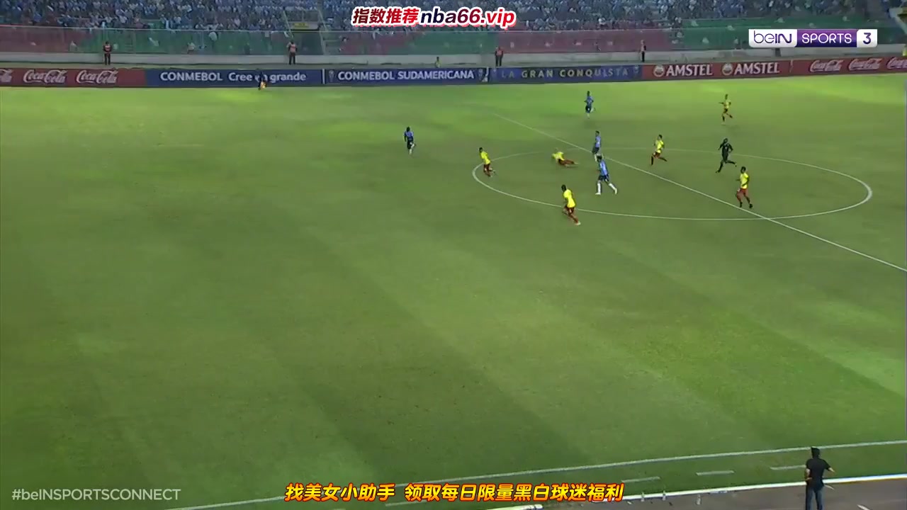 南球杯 布鲁明 Vs 帕马科亚 51分进球,比分4:0