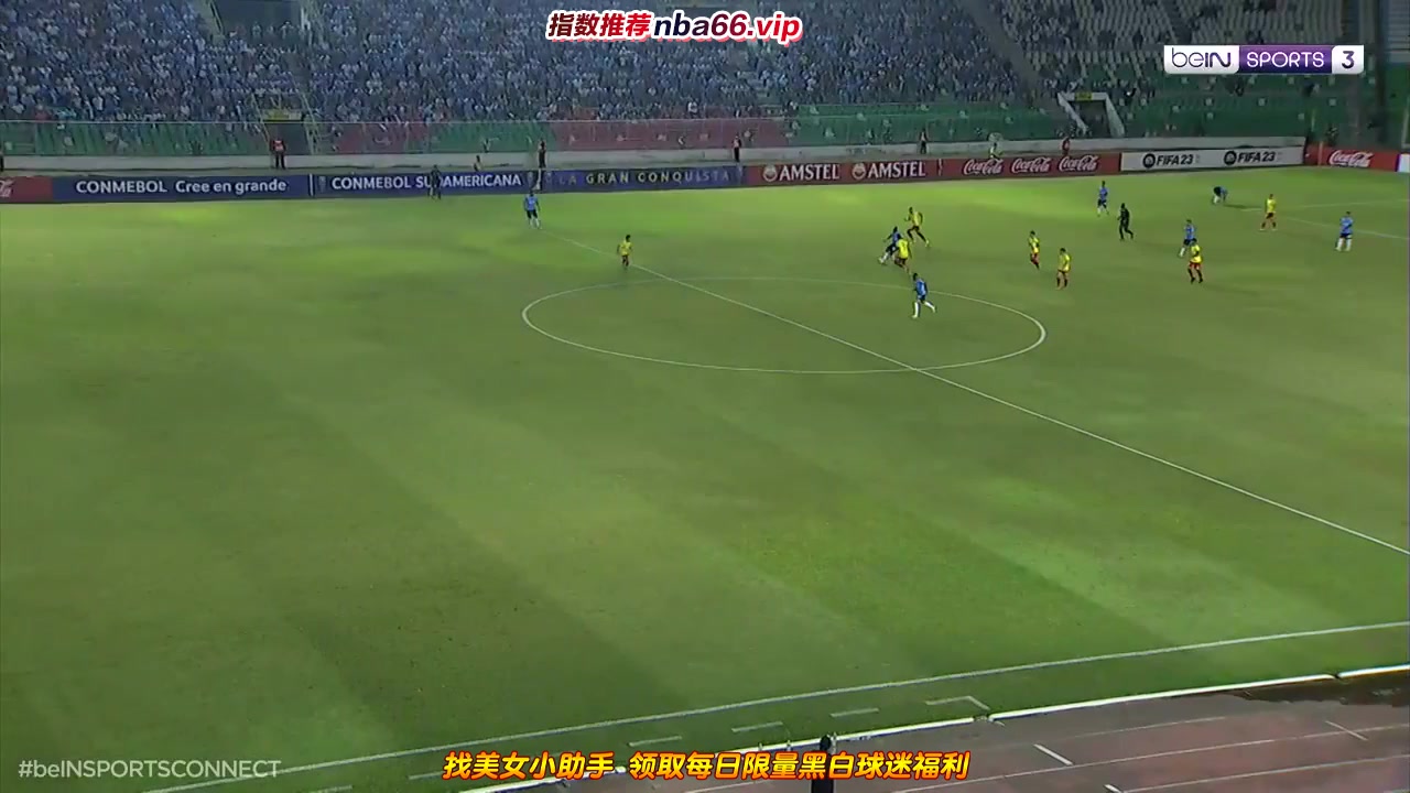 南球杯 布鲁明 Vs 帕马科亚 53分进球,比分5:0