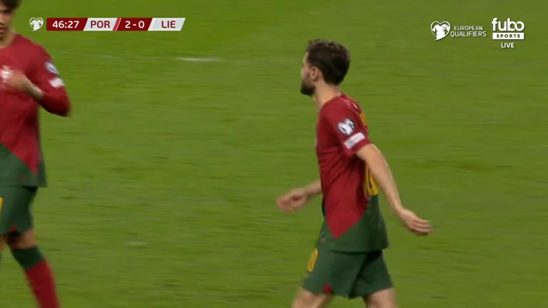 EURO  Cup Portugal Vs Liechtenstein  Goal in 46 min, Score 2:0